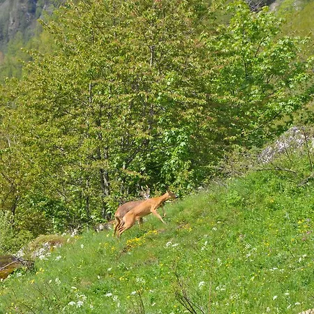 ゲストハウス Baita Prato Della Croce