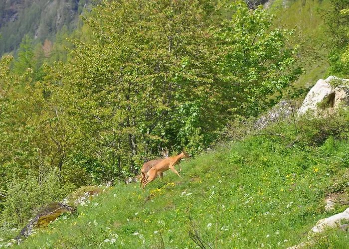 Pensión Baita Prato Della Croce